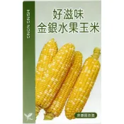 (店+)【天橙種子】好滋味金銀水果玉米種子 雙色超甜玉米 5公克(約30粒) 抗病品種 根莖類 蔬果種子 興農種苗 彩色原包裝