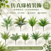 爬寵箱綠植 爬寵仿真綠植 綠植造景 魚缸造景 仿真水草 水草造景 仿真蕨葉波斯草 仿真蕨類植物 家居造景 居家裝飾 躲避