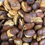 ★《北港廟口特產》各式口味蠶豆 〈很多種口味〉 ^_^一斤/600克