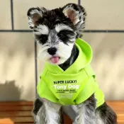 【臺灣-出貨】寵物衣服兩腳帶帽無袖衛衣字母印花防髒可愛酷比熊泰迪小型犬衣服XPMH