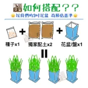 買6送1《秋冬透氣土》貓草 土壤 有機土 培養土 腐植土 小麥草 大麥草 小麥 大麥 貓薄荷 花盆 園藝 五貓見客