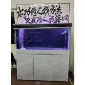 4尺底濾缸 風水缸 龍魚缸 異形缸 孔雀魚連缸 系統缸 各式大型魚缸 五呎底濾缸 魟魚