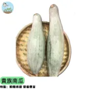 🎖️【南瓜界LV 超綿密】貴族南瓜種子 栗子南瓜品種 新疆極品金栗王 香甜粉糯 耐儲存 燉湯清蒸都美味 台灣適種