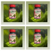 樂樂魚 水晶蝦、匙指蝦 揚色維他命漢堡 揚色飼料 增豔飼料 水晶蝦飼料 米蝦飼料 蝦飼料
