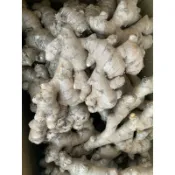 台灣（2年老薑黃肉1斤135元