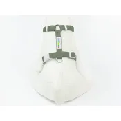 PETRICK Basic Harness 派翠克 經典款H型胸背帶 XL號 /C區色系