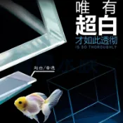 超白缸 立方缸【新莊/五股/青島水族】台灣精品 15 20 25 30 公分 超白 方型缸 魚缸 小立方