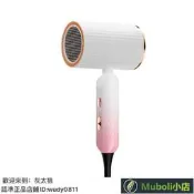 【公司低價】沙龍吹風機 懶人吹風機 電吹風 可折疊電吹風機 家用大風力 藍光負離子護發電吹風 超靜音 恒溫速幹電吹風筒