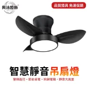 【XINGMU 興沐】吊扇燈 25吋吸頂風扇燈 LED燈電扇燈 奶油風靜音DC循環扇 臥室客廳吸頂燈 三色變光 定時遙控