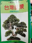 《台灣盆景 (觀賞與栽培)  》 隆泉  【小熊家族】