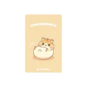 {台中BRUNS飛鏢用品專賣店}飛鏢機台卡.鳳凰卡,PHOENIX卡.PHOENIX CARD,鳳凰飛鏢機台