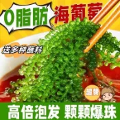 鹽漬海葡萄 100g/袋 新鮮卽食海藻 海菜海帶裙帶菜