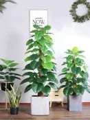 協貿國際日用品生活2館 綠植擺件北歐植物ins風客廳仿真綠植旅人蕉盆栽龜背仿真植物盆景