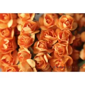５號雜貨屋＊(現貨 04~橘色)迷你玫瑰花 紙花 1束12朵20元 娃娃配件 DIY娃屋 芭比迪士尼兵人各類娃皆可使用