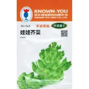愛上種子 娃娃芥菜Mustard(SV-545)農友種苗特選種子 芥菜的一種 味道清香鮮甜略帶甘落苦味