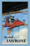 【三民網路書店】Aerial Jawbone 作者：Stephen Kagarise