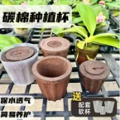 蝴蝶蘭碳棉種植杯升杯換盆育苗杯蝴蝶蘭花苗基質懶人栽培植料炭棉