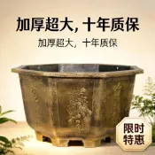 【台灣出貨】大花盆特大號加厚八角特厚六角花盆羅漢松成品樹脂鐵樹荷花睡蓮盆批發