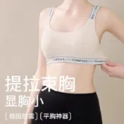 束胸 拉鍊 排扣 魔鬼氈款  運動束胸 束衣 大尺碼束胸 束胸運動內衣大胸顯小健身背心女跑步高強度防震外穿塑胸夏季薄款