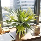 高擬真鹿角蕨盆栽/擬真植物/禮物/綠化/永不凋零/佈置/蕨類