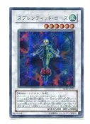 【隨賣小噗】TSHD-JP043 華麗薔薇(金亮)