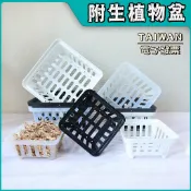附生植物盆🔥台灣製造🔥附生盆 附生籃 附生植物籃 育苗盆 著生植物籃 蕨類盆  鹿角蕨盆 蘭花盆