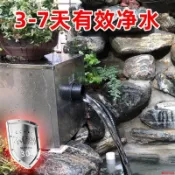 魚池過濾箱不銹鋼室外全自動水循環系統外置大型凈水不銹鋼過濾器