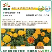 【綠藝家】金峰萬壽菊種子500克、1公斤-花海用優惠價(美化綠化環境作物)