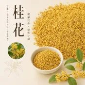 ｜開立發票｜桂花 乾燥桂花 黃金桂花 食品級 天然清香 花茶 批發團購