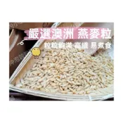 (店+)【語樂】《嚴選澳洲 燕麥粒》未磨粉/ 粒粒飽滿 高纖 易煮食~精選雜糧~||夾鏈袋真空包裝 || 燕麥 燕麥仁~沖泡穀粉小舖