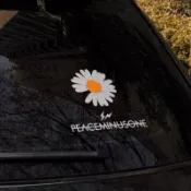 台灣出貨 汽車貼紙GD 權志龍小雛菊 個性創意 汽車貼紙 藤原浩 潮流 改裝車身貼 摩托車貼紙