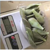 【現貨速發】新鮮 瓏月石蓮花 100g ｜ 自家栽種 石蓮花 瓏月 多肉植物 食用石蓮花 伴手禮 無毒養生食材