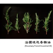 【muco】法國迷迭香精油 (Rosemary French Essential Oil)