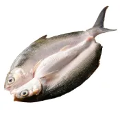 (店+)【祥鈺水產】祥鈺水產｜整尾去刺虱目魚 600g/尾