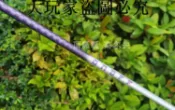 大玩家專營店 ONOFF女士桿身超輕用40克高爾夫一號木桿身鐵木桿桿身L級銀紫色