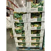 免運(拆賣單包 優惠中)奶素 健司辻利抹茶奶茶沖泡飲粉 日本京都宇治片岡辻利茶舗抹茶粉抹茶奶茶 costco好市多