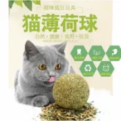 加加屋 🍀現貨特價🍀貓咪薄荷球 貓草 貓咪用品 貓薄荷草 貓薄荷 木天蓼 貓玩具 貓咪玩具 貓咪薄荷球 貓用品 貓奴 貓爪 貓掌