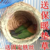 協貿國際日用品生活館 鸚鵡鳥窩草編懸掛式虎皮牡丹玄鳳文鳥珍珠草窩保暖繁殖箱用品鳥巢