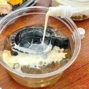 龜苓膏模具 小烏龜模具 烏龜模具 燒僊草模具 食品級模具 硅膠模具 diy龜苓膏 烘焙模具 烏龜造型模具
