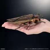 (店+)現貨生物大圖鑑 進擊 水生昆蟲田鱉 萬代 扭蛋 轉蛋 ADVANCE 桂花負蝽 狄氏大田鱉 日本