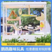 免運🚚鸚鵡彩色繽紛家具 鳥窩鞦韆玩具 鸚鵡吊床爬梯炫彩玩具玩耍解悶趣味用品【夥伴萌】