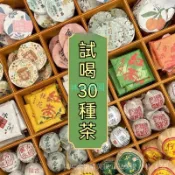 代開發票 免運  【多款組閤裝】30種茶樣 白茶  茶餅 陳皮白茶大禮包  茶葉  生茶  熟茶  普洱茶 小青柑 紅茶