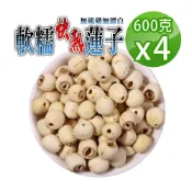 蔘大王 軟糯快熟蓮子 600gX4 珍品美味 通心蓮子 白蓮子 湘蓮子