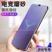 電競專用防指紋 霧面玻璃貼 適用 VIVO V25 V23 V23E Y16 Y02S Y21 Y21S Y55 熒幕貼
