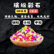 現貨~彩石 (500公克/1公斤) 好運石 五彩石 彩色石頭 魚缸底砂 盆栽鋪面 裝飾 水族鋪缸 園藝造景