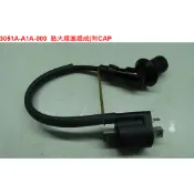 《MOTO車》三陽 A1A 原廠高壓線圈 MIO 100 R1-100