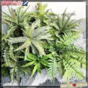 免運🔥桃園出貨蕨類植物仿真蕨葉鹿角蕨波士頓蕨腎蕨假蕨類高品質蕨類造景裝飾花園裝飾攝影佈置Tzz
