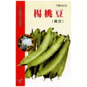 (店+)【天橙種子】楊桃豆種子 翼豆 約4公克  4~8月播種 豆類種子 興農種苗 家庭園藝 彩色原包裝