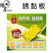 上黏誘黏板5入【緣屋百貨】天天出貨 帝通 台灣製 黏蠅板 黏蠅紙 5片裝 蒼蠅 果蠅 捕蠅紙 黏蒼蠅