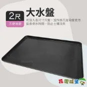 【花園城堡】水盤 托盤 2尺長方大水盤（內徑56x38.5cm）大水盤 水盤 穴盤 端盤 育苗穴盤 儲水盤 長方盆